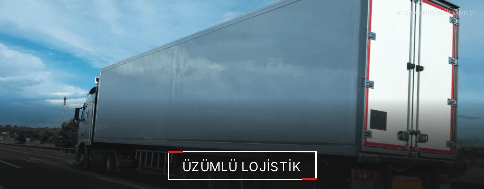 Üzümlü Lojistik Kargo